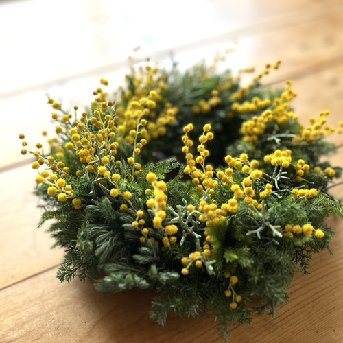 早春リース♪ ~ミモザ.ミランドールとタチカズラ リース 音の庭 ~dried