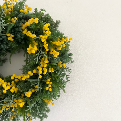 早春リース♪ ~ミモザ.ミランドールとタチカズラ リース 音の庭 ~dried