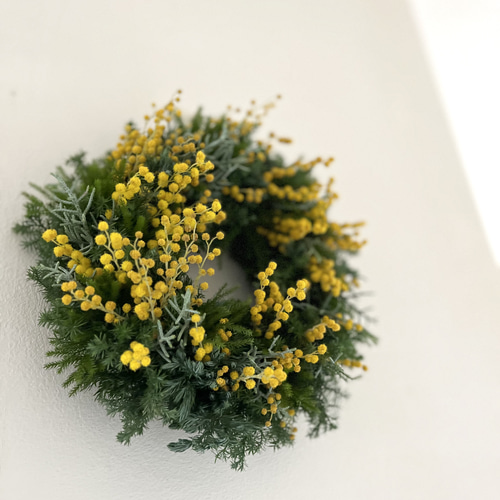 ミモザとブルースターチスのリース　ミランドールミモザ　貝細工　春 36c6e2a0f7b5fc7d5ff829ebffd690