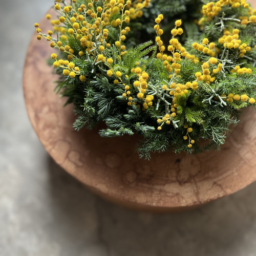 早春リース♪ ~ミモザ.ミランドールとタチカズラ リース 音の庭 ~dried