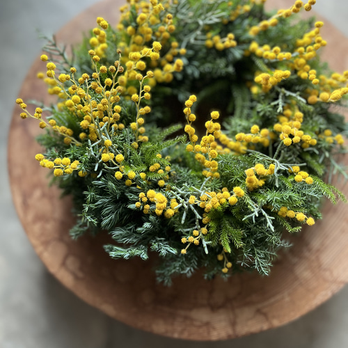 早春リース♪ ~ミモザ.ミランドールとタチカズラ リース 音の庭 ~dried