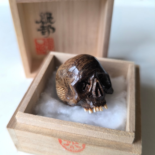 在銘】【髑髏作家服部】【海松製髑髏彫刻】【桐箱付】髑髏 骷髅 骸骨