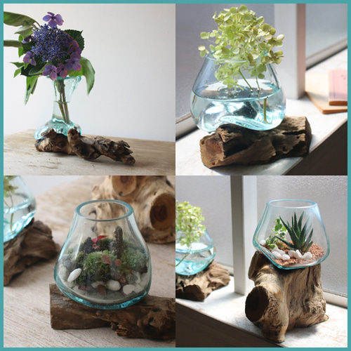Bali 流木 ガラス オブジェ アクアリウム アート 花瓶 一輪挿し 花器