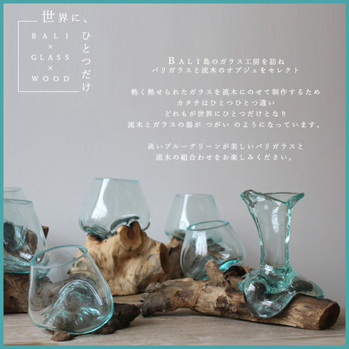 1点制作 anvaiセレクト 流木 BALIガラス オブジェ 花瓶 テラリウム