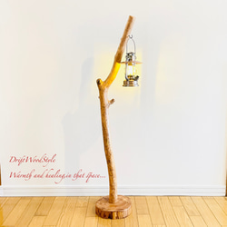 流木インテリア シンプルな天然流木の小鳥の止まり木 吊り下げタイプ