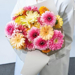 入荷少なめです❗️超希少❗️胡蝶蘭❤️ブルージーン 1本立 多肉植物