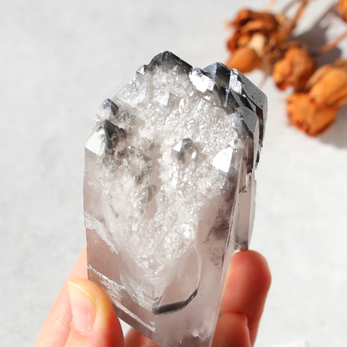 希少！ブラックレムリアンシード 天然石 水晶 鉱物 一点物 クォーツ