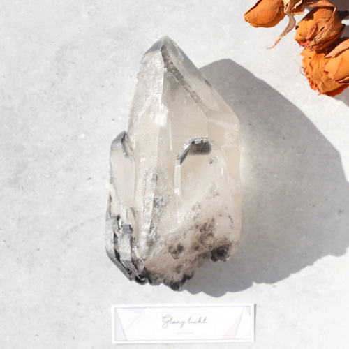 希少！ブラックレムリアンシード 天然石 水晶 鉱物 一点物 クォーツ