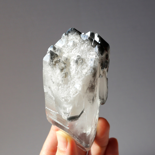 希少！ブラックレムリアンシード 天然石 水晶 鉱物 一点物 クォーツ