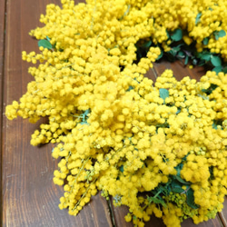 (送料無料)ミモザリース大きいsize30㎝ 1枚目の画像