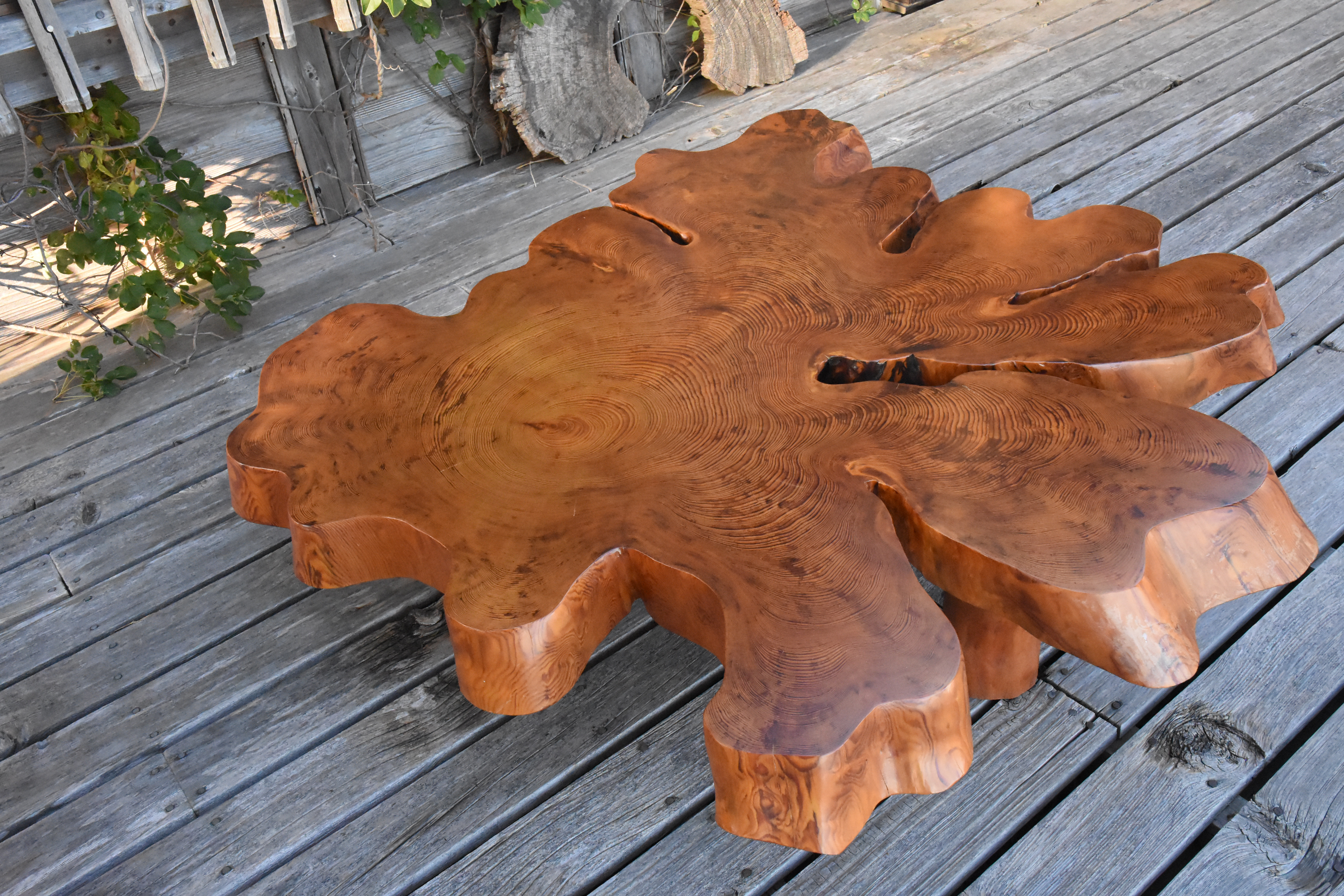 【一期屋06】【一点もの】ヤニマツの根元から生まれた一枚板ローテーブル／ケヤキ脚