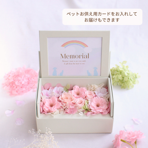 ペットお供えに 桜と心に寄り添うフォトフレームボックス プリザーブド