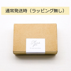 すずめ（雀）さん ピアス（イヤリング・ノンホールピアス変更可）樹脂粘土・サージカルステンレス・野鳥アクセサリー・小ぶり 6枚目の画像