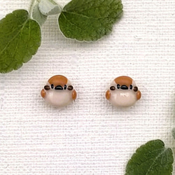すずめ（雀）さん ピアス（イヤリング・ノンホールピアス変更可）樹脂粘土・サージカルステンレス・野鳥アクセサリー・小ぶり 1枚目の画像