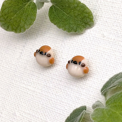 すずめ（雀）さん ピアス（イヤリング・ノンホールピアス変更可）樹脂粘土・サージカルステンレス・野鳥アクセサリー・小ぶり 2枚目の画像