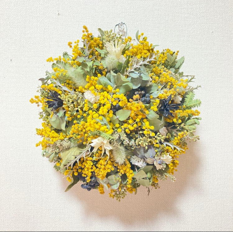 【2026年予約受注販売】ミモザノンホールリース