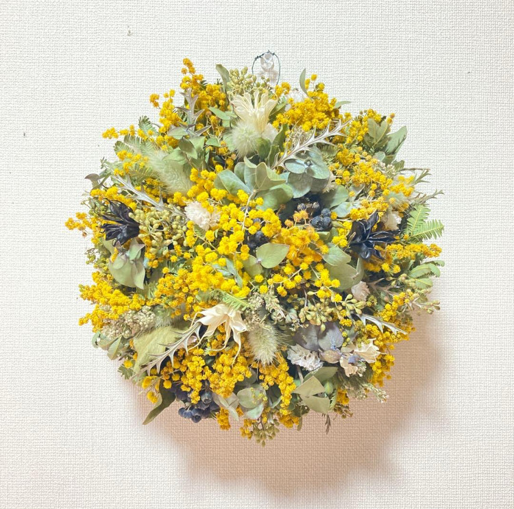 【2026年予約受注販売】ミモザノンホールリース