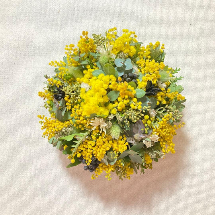 【2026年予約受注販売】ミモザノンホールリース