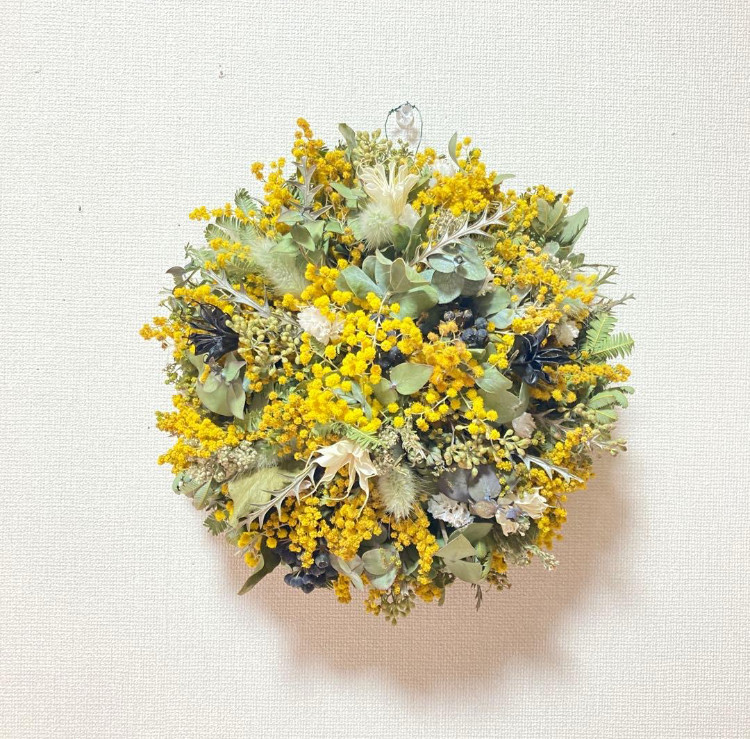 【2026年予約受注販売】ミモザノンホールリース