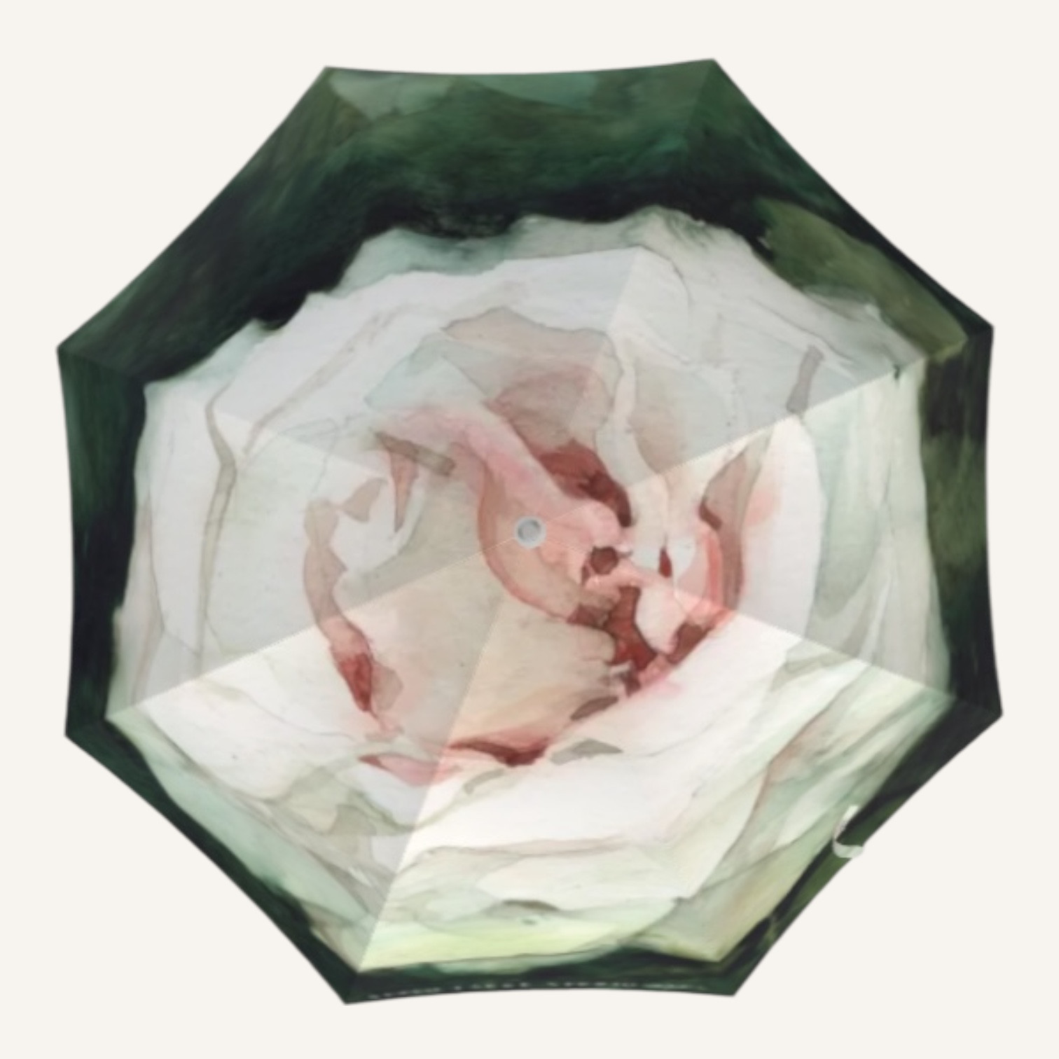 晴雨兼用傘　 ガーデンの白い薔薇　　一枚絵