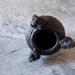 樹土鬼時計1　塊根植物　多肉植物　盆栽　植木鉢　作家鉢　オブジェ　沖縄 7枚目の画像