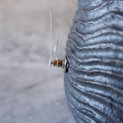 樹土鬼時計1　塊根植物　多肉植物　盆栽　植木鉢　作家鉢　オブジェ　沖縄 8枚目の画像