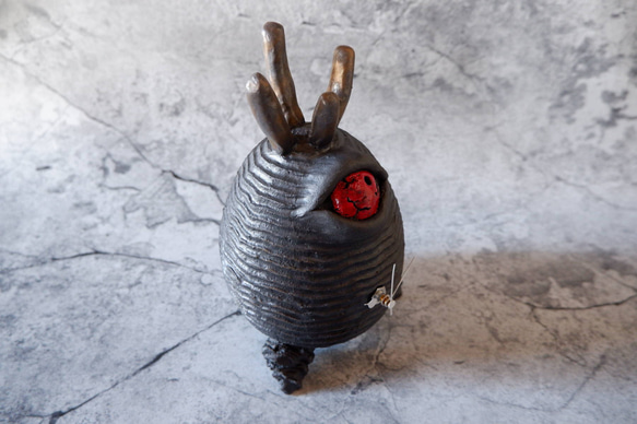 樹土鬼時計1　塊根植物　多肉植物　盆栽　植木鉢　作家鉢　オブジェ　沖縄 6枚目の画像