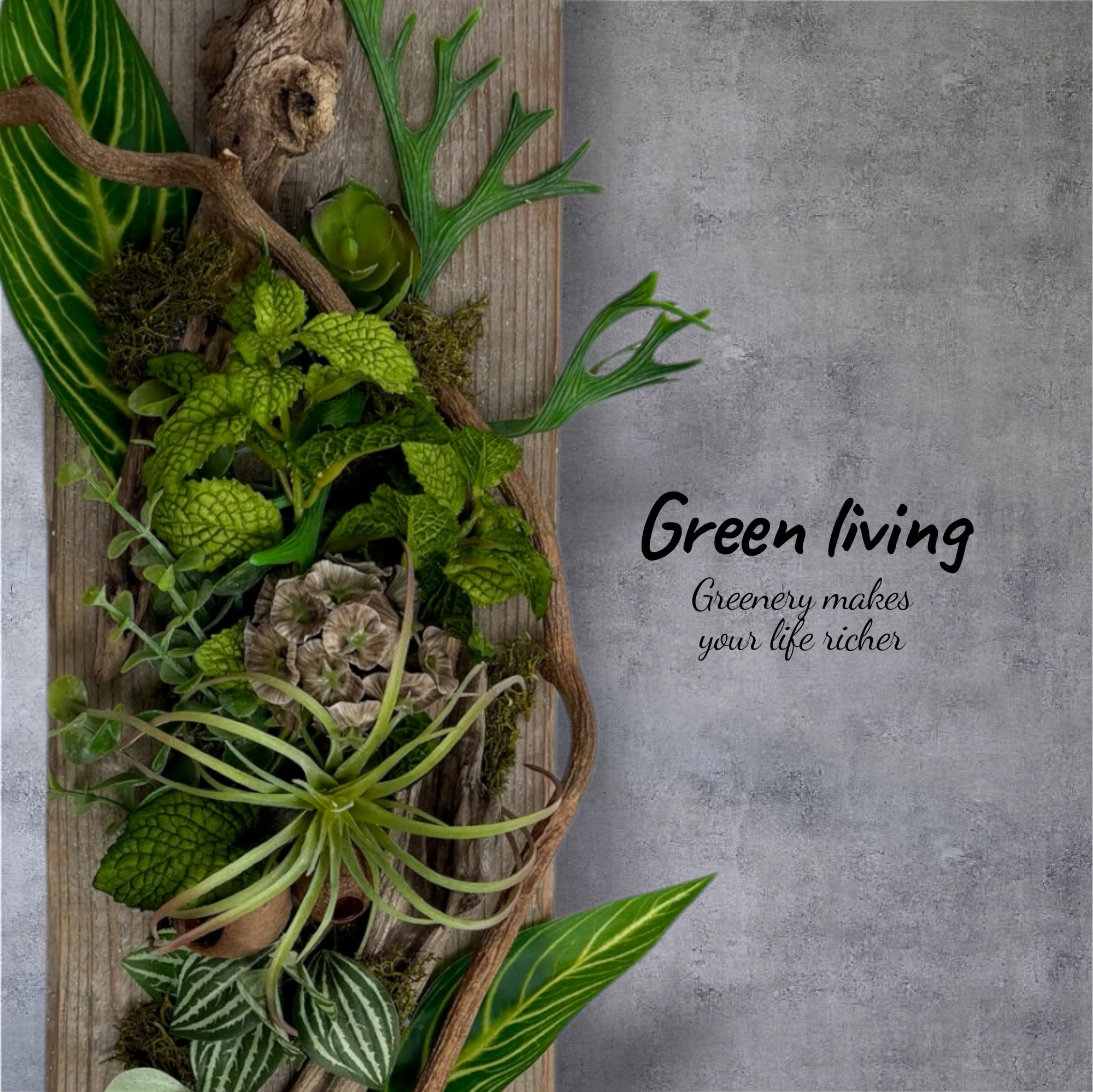 キウイの蔓×足場板ウォールグリーン　ウォールアート　フェイクグリーン壁掛け　インテリア　チランジア　ステルンクーゲル