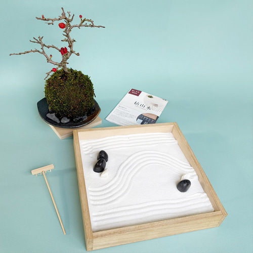 縮景を楽しむ。枯山水 玉砂利 小サイズ + 紅長寿梅苔玉・器セット