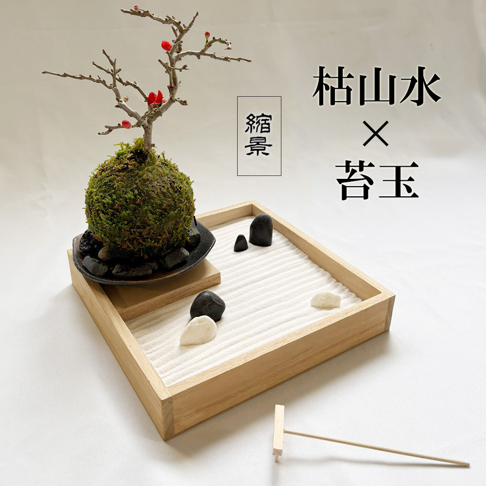 縮景を楽しむ。枯山水 玉砂利 小サイズ + 紅長寿梅苔玉・器セット