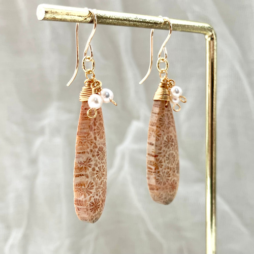 天然石♡フォッシルコーラルのピアス14kgf フォッシルコーラル 1粒