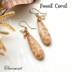 送料無料】 14kgf 天然石 一点物 フォシルコーラル ピアス イヤリング
