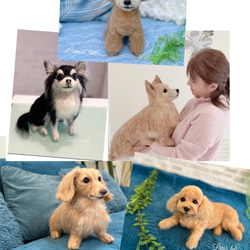 羊毛フェルト ハンドメイド ルゥ様オーダー専用ページです☺︎ 羊毛