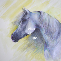 立ち上がる馬(高級水彩画用紙、F4, 24cm×33，5cm、墨、水彩