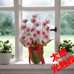 光触媒 人工観葉植物 ウォールグリーン フェイクグリーン 胡蝶蘭