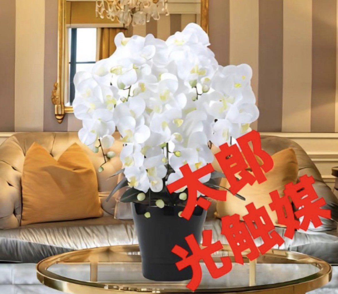 光触媒　人工観葉植物　ウォールグリーン　フェイクグリーン　キング胡蝶蘭７本立W