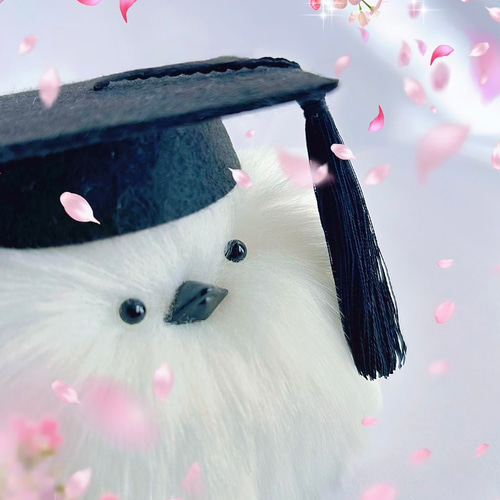 角帽 / 置きモグさん用 ※帽子のみの販売です ぬいぐるみ Mﾑ Ds MART