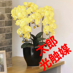 光触媒　人工観葉植物　ウォールグリーン　フェイクグリーン　胡蝶蘭セリースY 光触媒 人工観葉植物 ウォールグリーン フェイクグリーン 胡蝶蘭