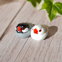 桜文鳥・白文鳥セット（キーホルダーも可） その他置物 アズピー