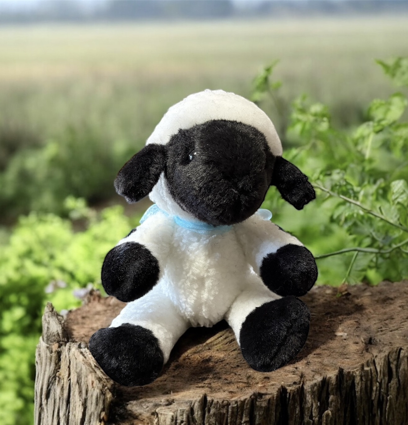 ヴァレーブラックノーズシープ