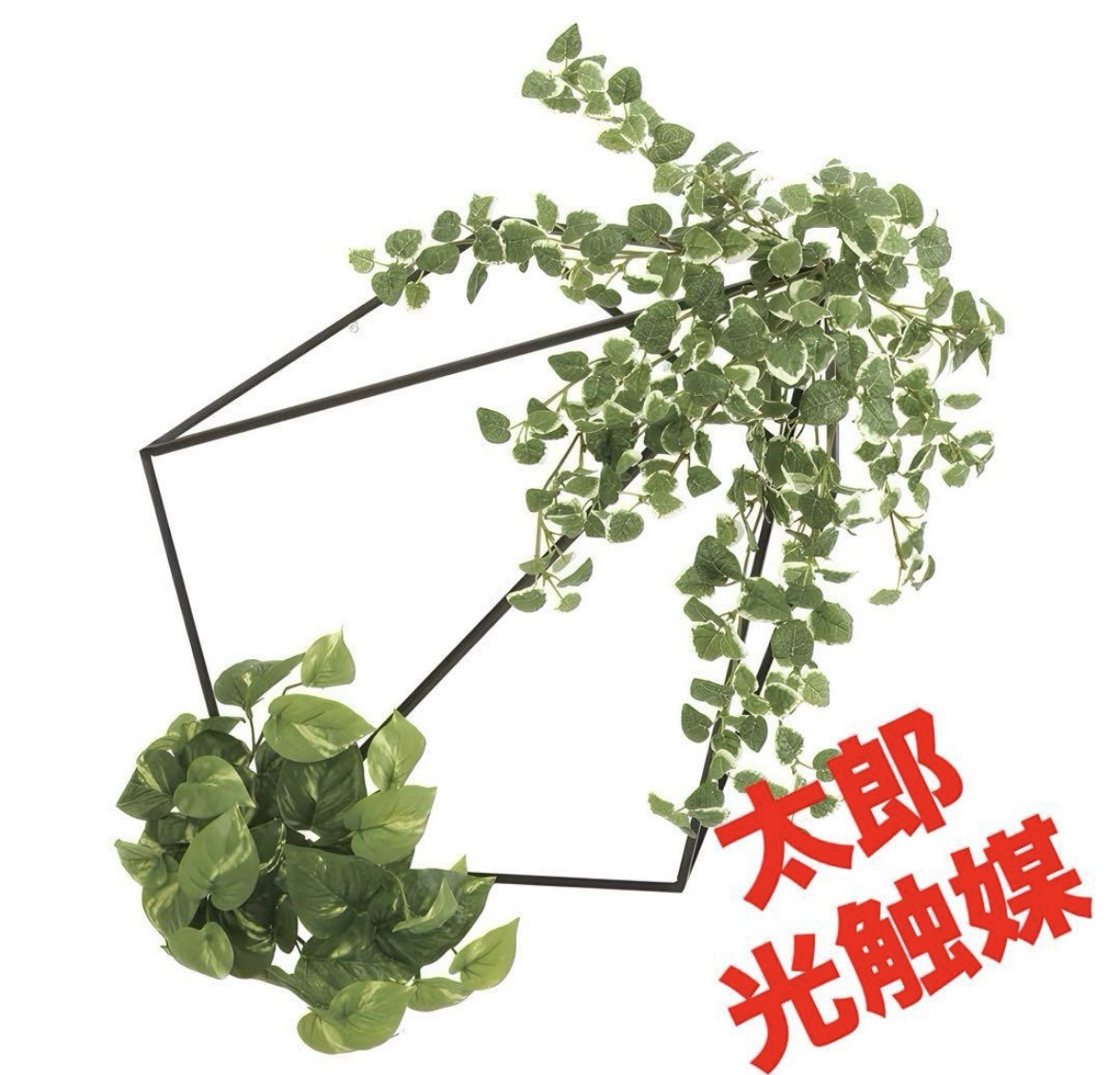 光触媒　人工観葉植物　ウォールグリーン　フェイクグリーン　壁面緑化プミラ&ポトス