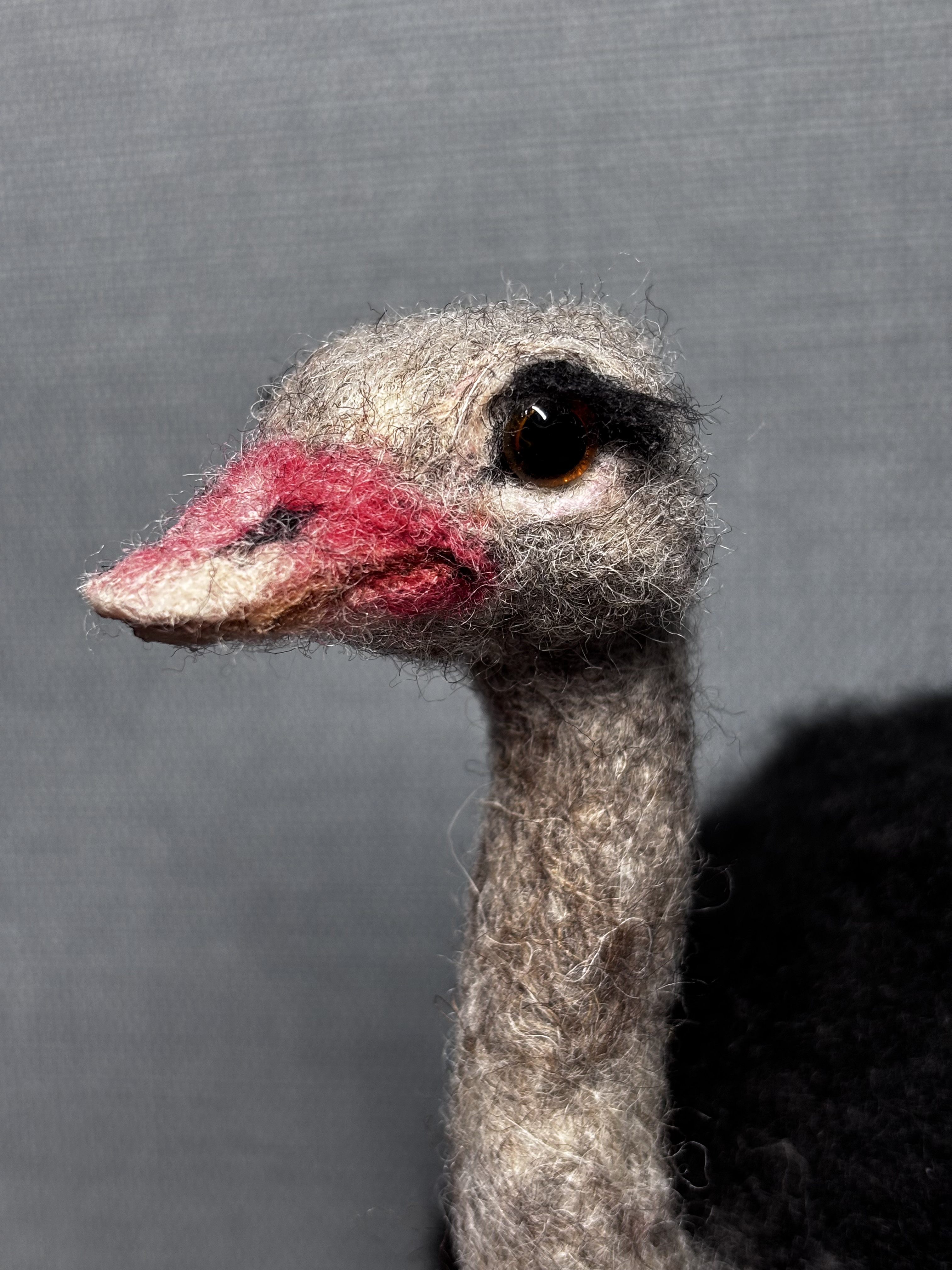 ダチョウ＊オーストリッチ