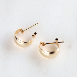 隕石のピアス スウェーデン産 ムオニナルスタ隕石（メテオライト隕石