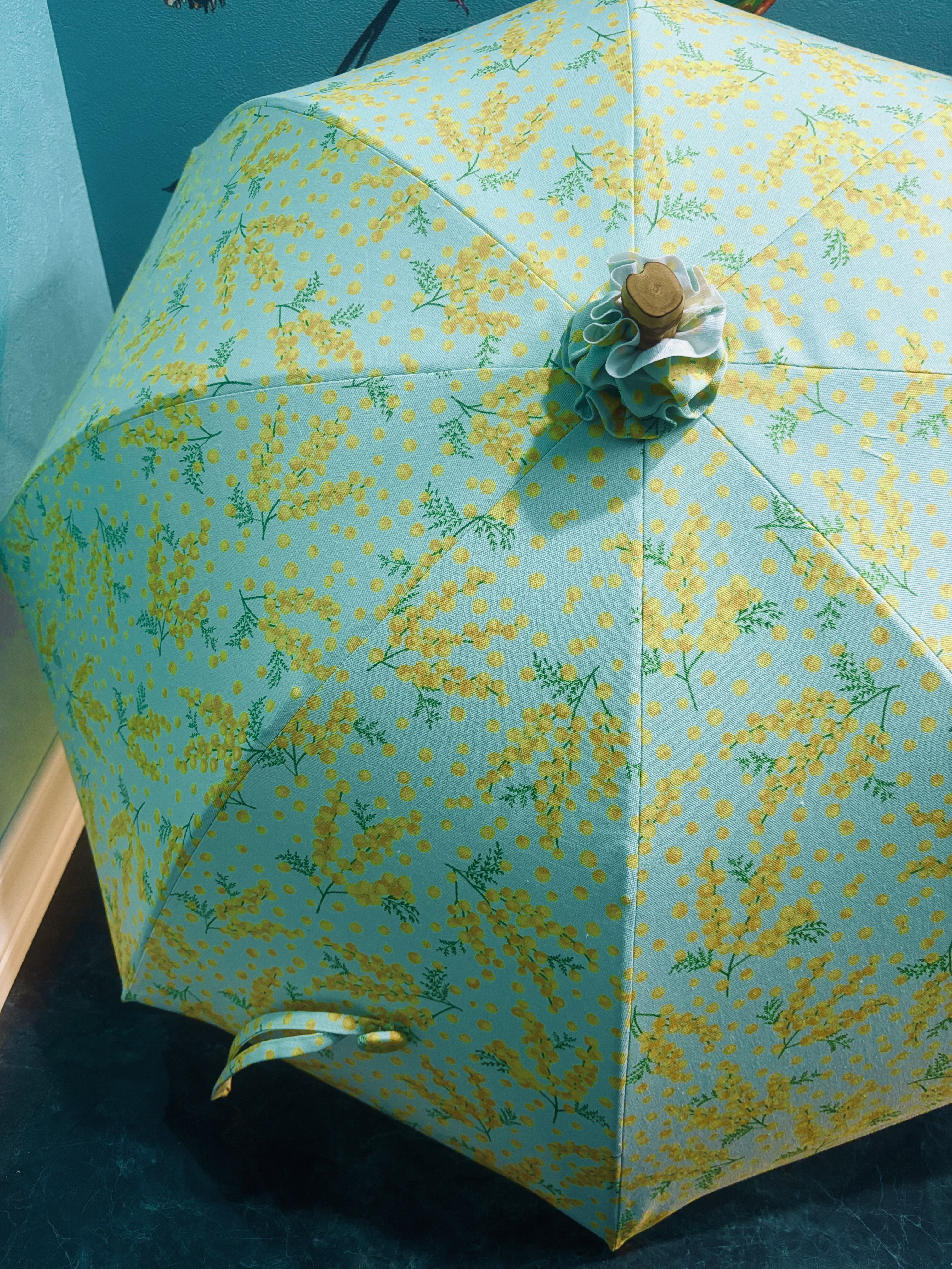 手作り日傘　あかしやに 柔き芽をはこび来る 二月の雨の白き足もと【限定品】