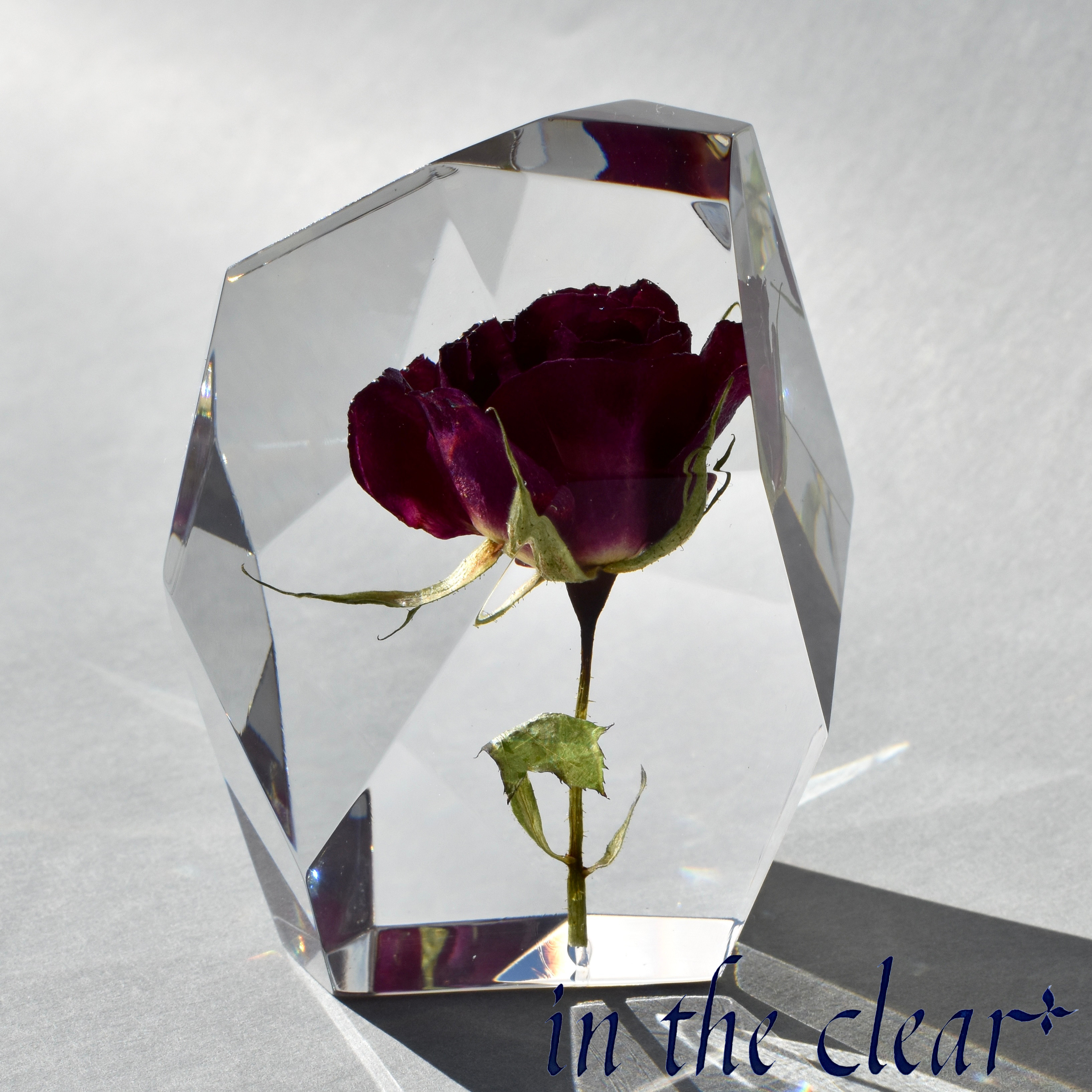 植物標本　薔薇　赤　レジン　鉱石型