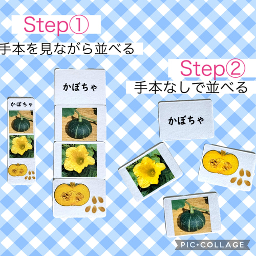 理科カード② 理科 家庭学習 小学校教材 早期教育 療育支援 学習教材