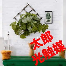 光触媒 人工観葉植物 ウォールグリーン フェイクグリーン ガジュマル