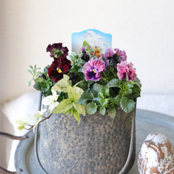 ボリューミーなクレッセントのクリスマスリース。日常使いにも。お部屋