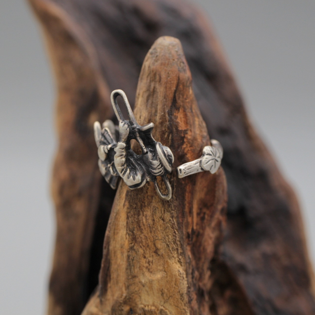 楽器隊＠トランペット（絡まる蔦）