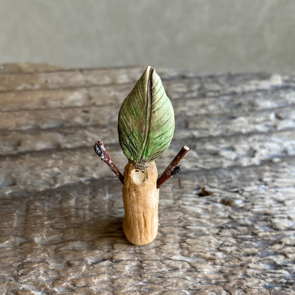 10000.bud 冬芽 3枚目の画像